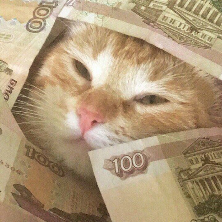 Когда получил зарплату | Пикабу