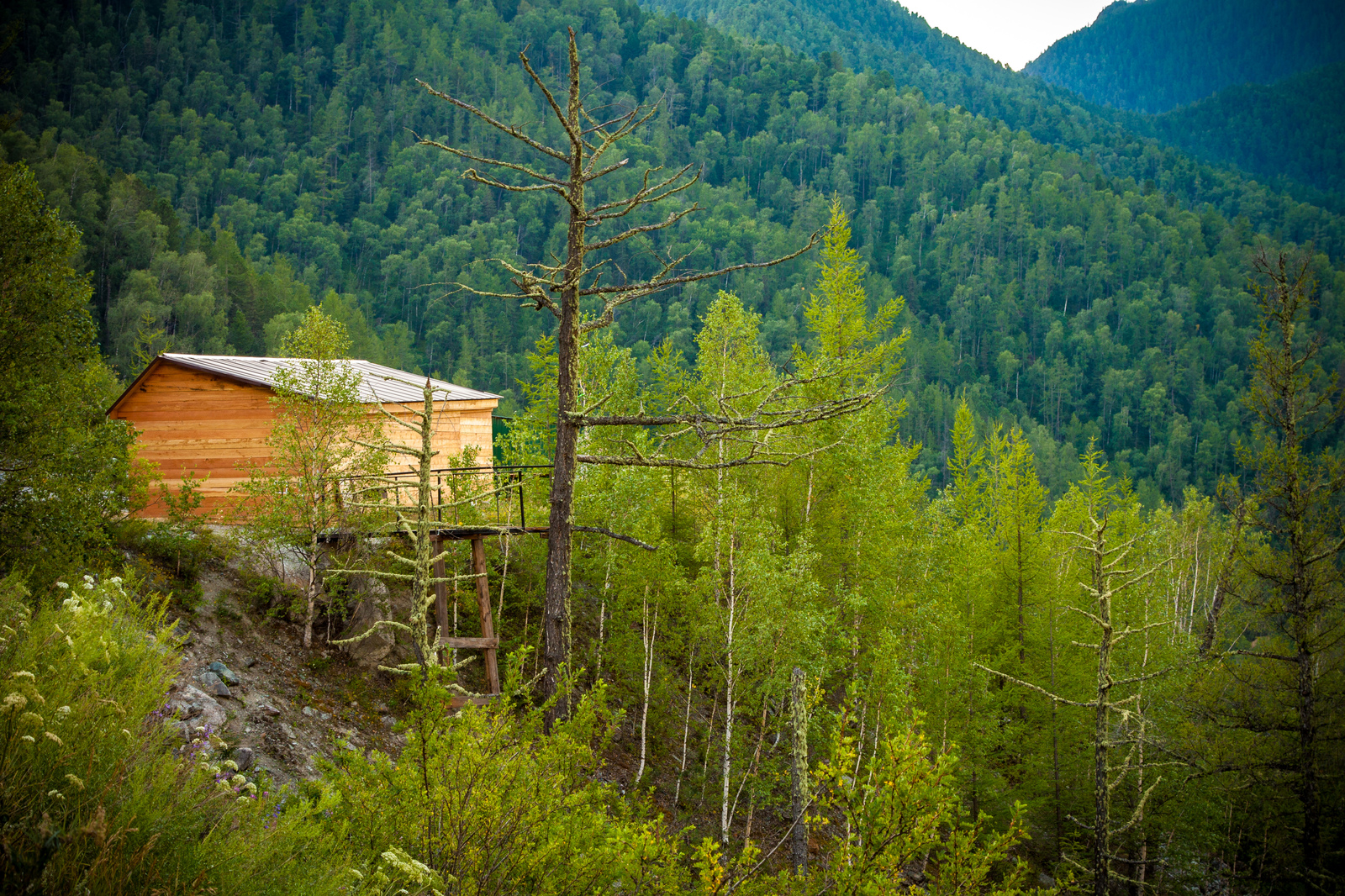 Altai... - My, Altai, Mountain Altai, The photo, Landscape, The mountains, Longpost, Altai Republic