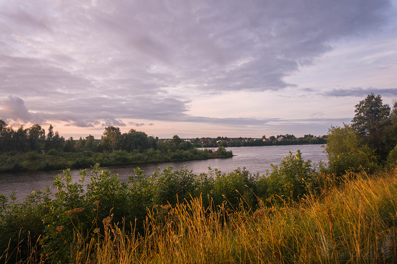 Last Summer Friday 2017 - My, Featheratlas, Nature, Landscape, Flowers, August, Summer, Volga, Sunset, Longpost, Volga river