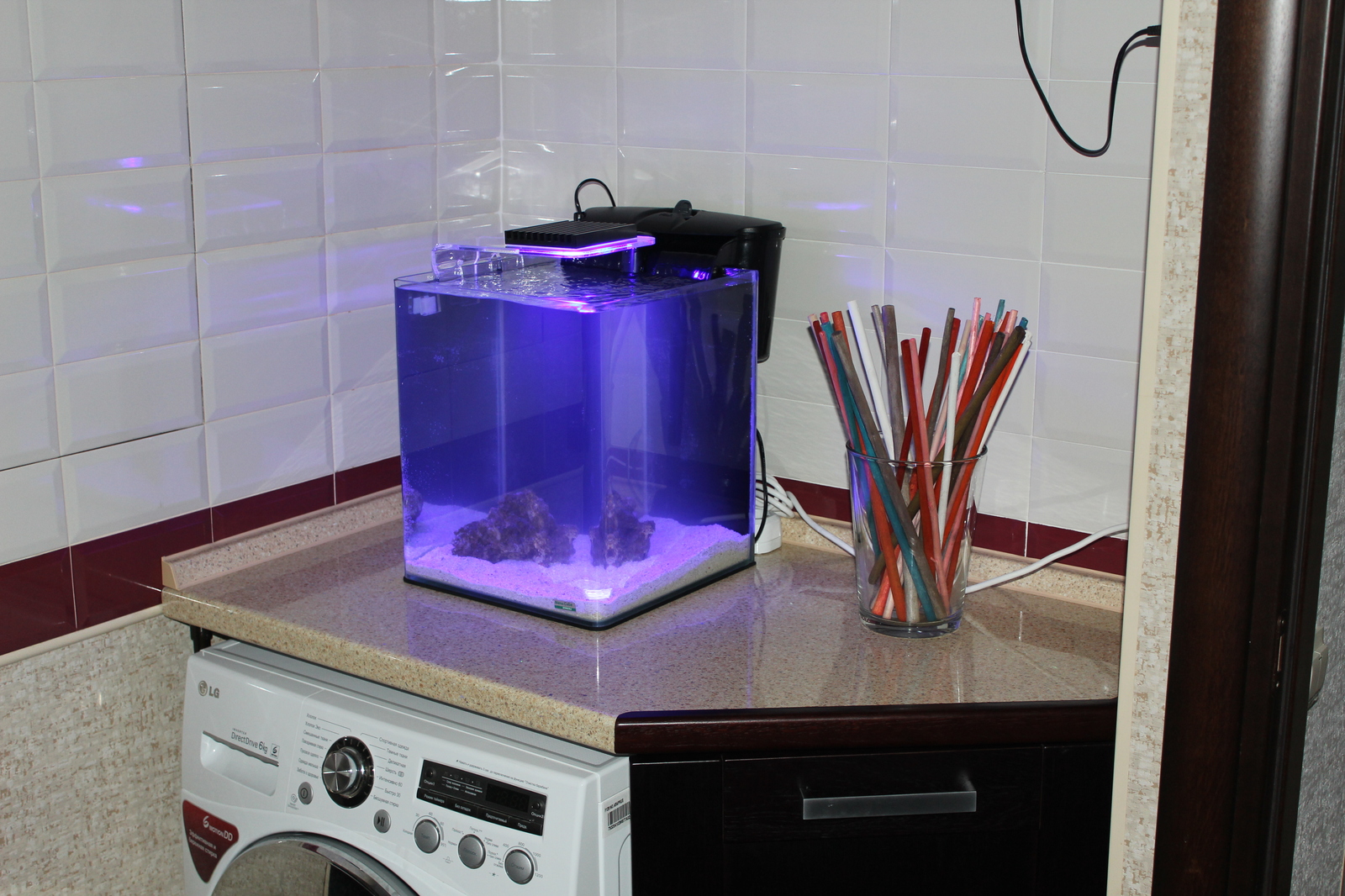 The practical side of starting a marine nano aquarium - My, , Reef, Nanotechnology, Aquarium, Longpost