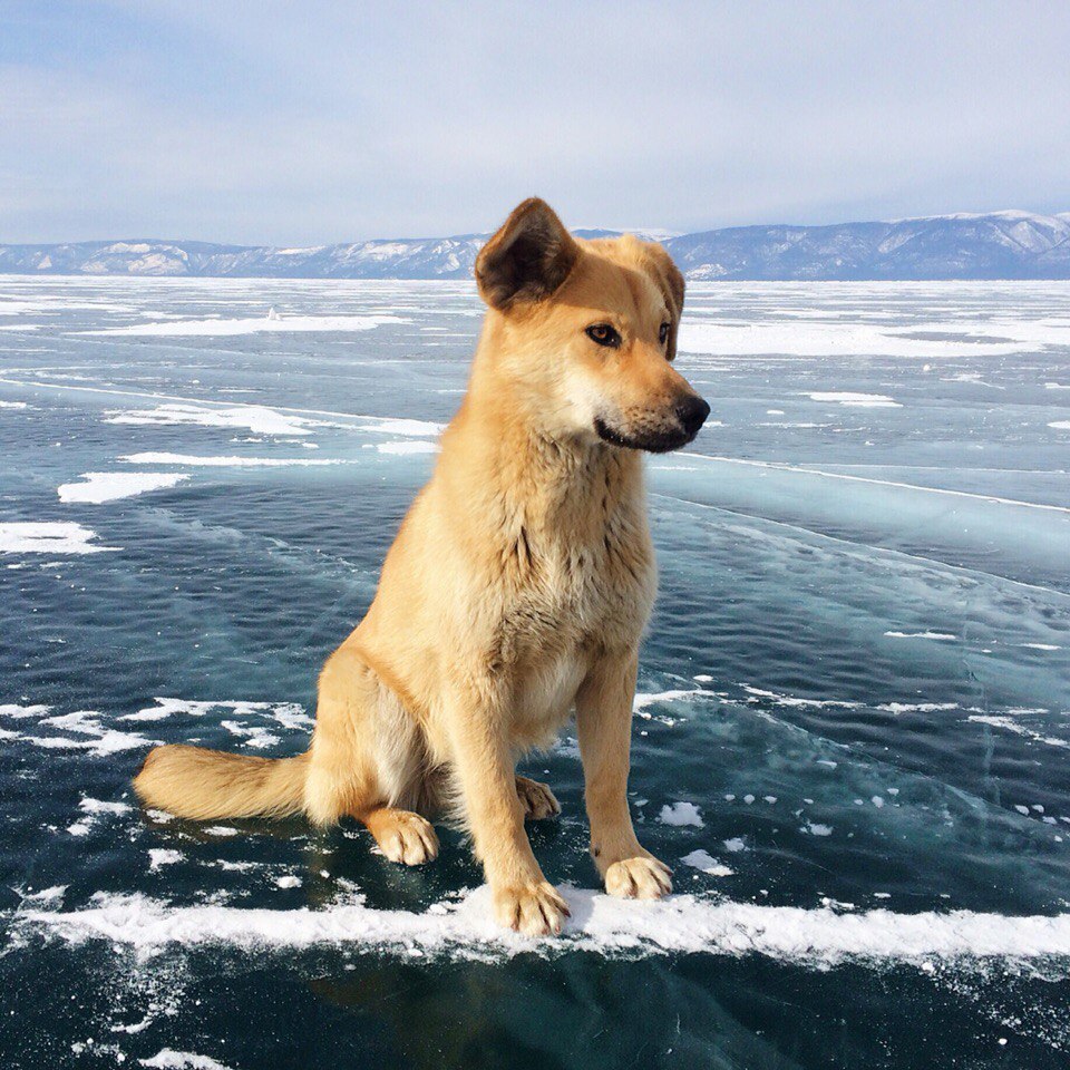 winter Baikal - Baikal, Russia, The photo, Nature, Longpost