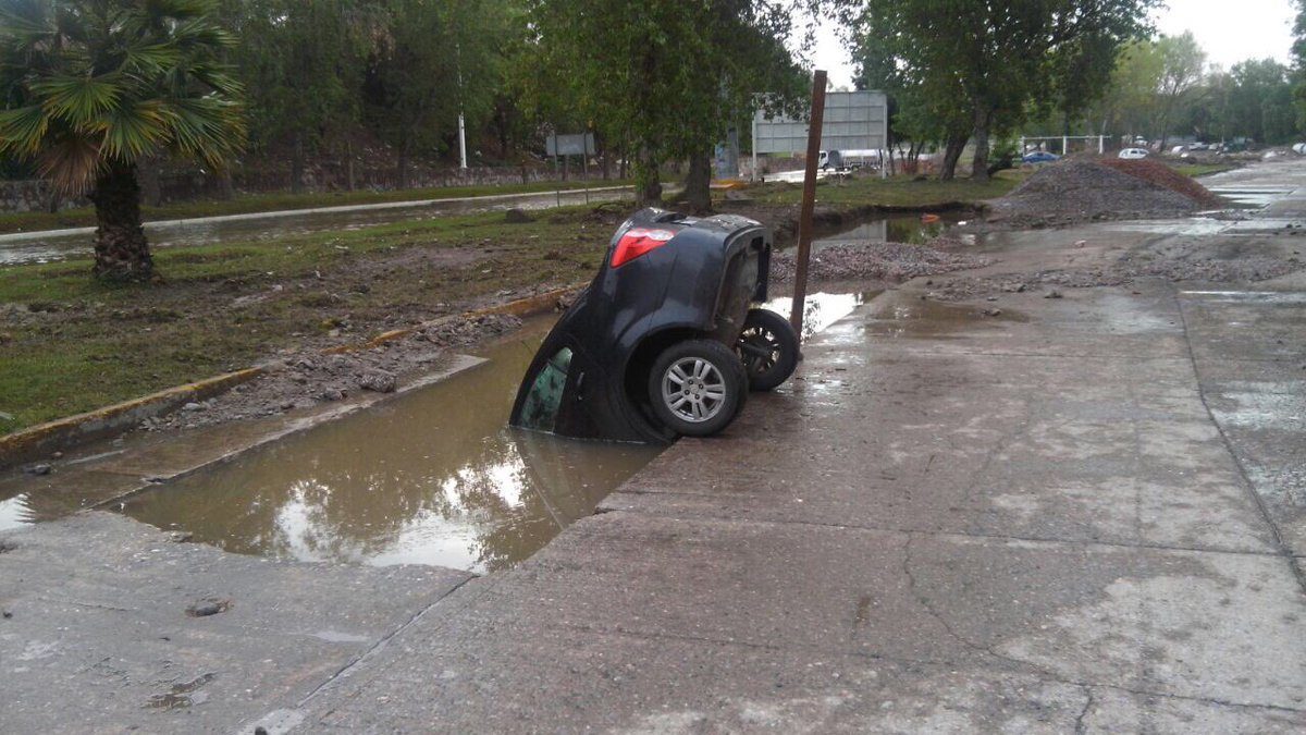 Имидж - ничто. Жажда - всё. - Водопой, Лужа