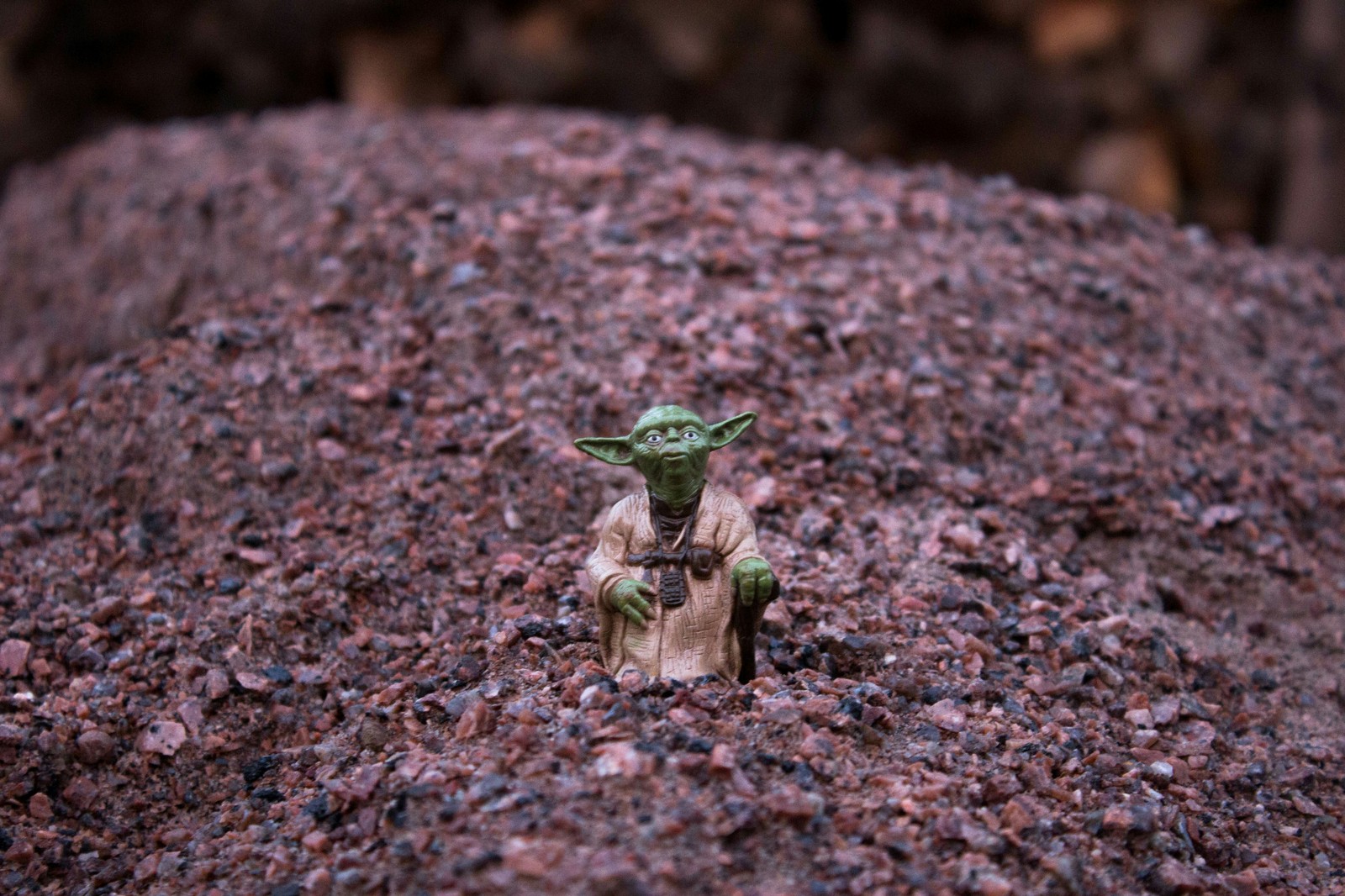 Photo in the country on the theme of Star Wars - My, Star Wars, The photo, Canon, Bokeh