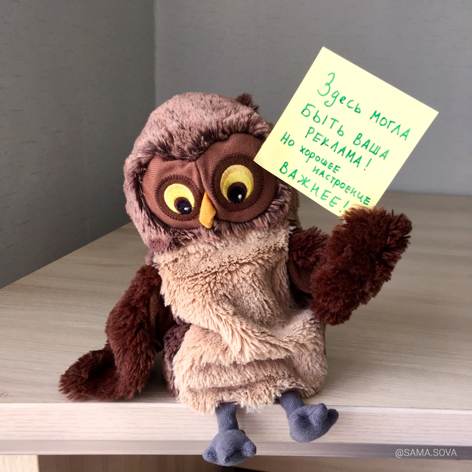 Owl motivation - My, Motivation, Self-motivation, Vital, Advice, Instagrammers, Humor, Milota, Longpost