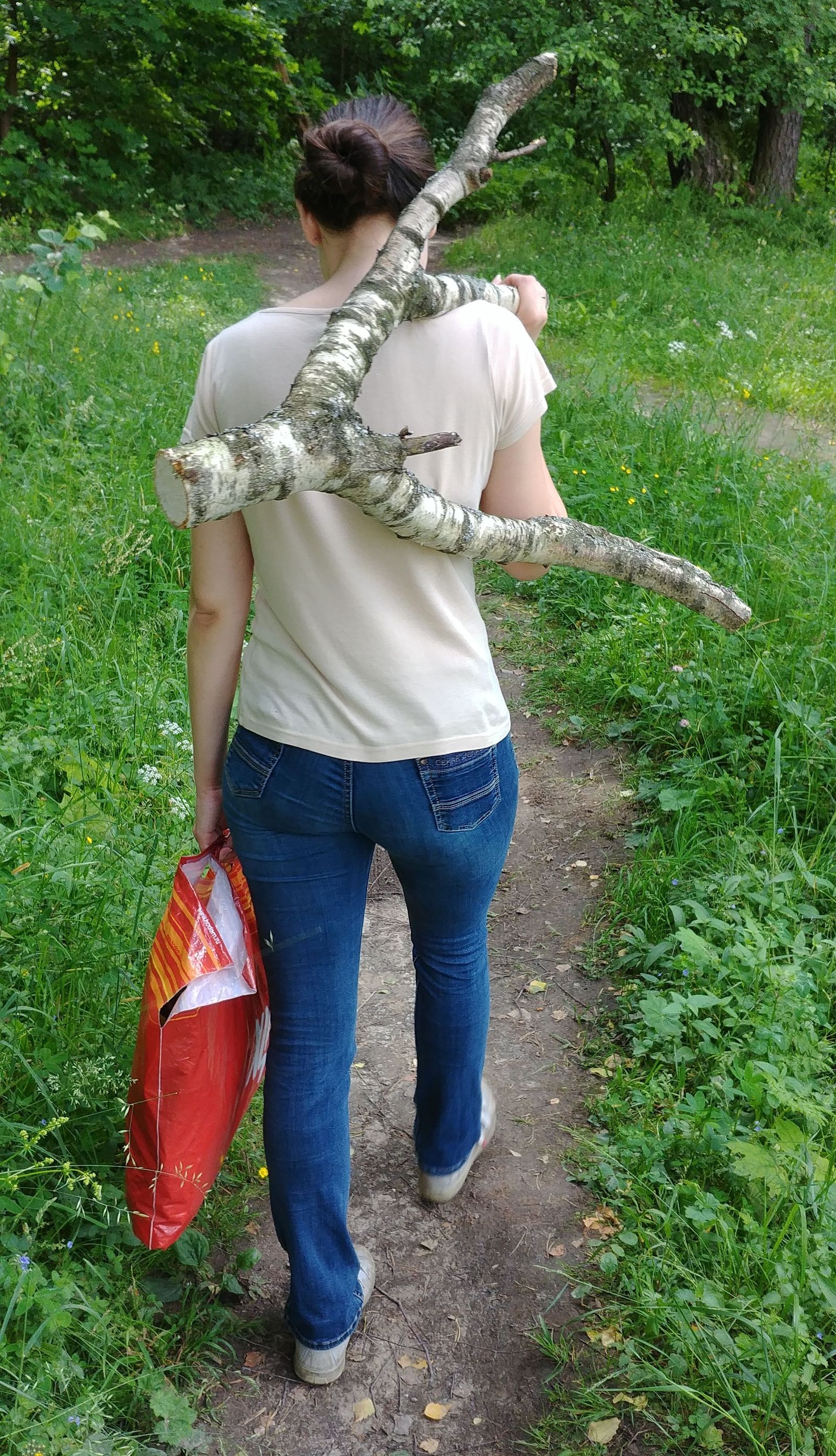 Дегу - это... - Моё, Нашидегу, Коряга, Дегу, Домашние животные, Длиннопост, Дегу это