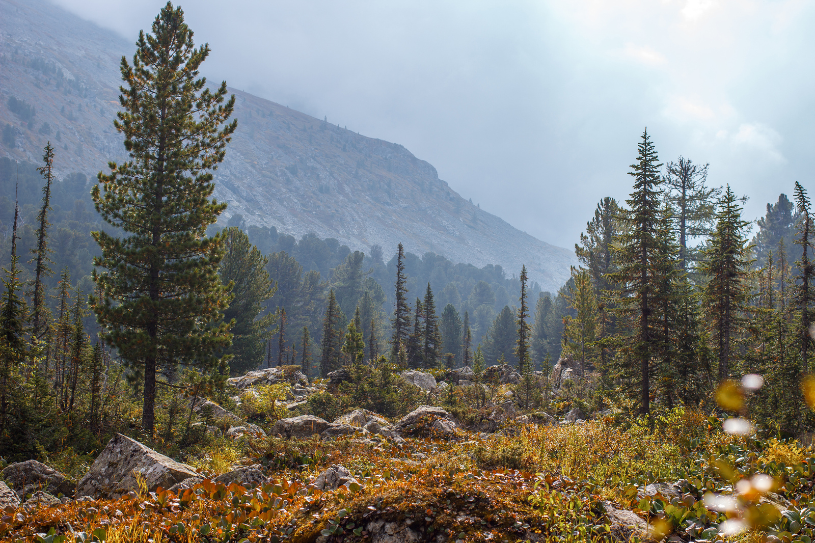 Mountain Altai - My, Photographer, My, Mountain Altai, Longpost, Altai Republic