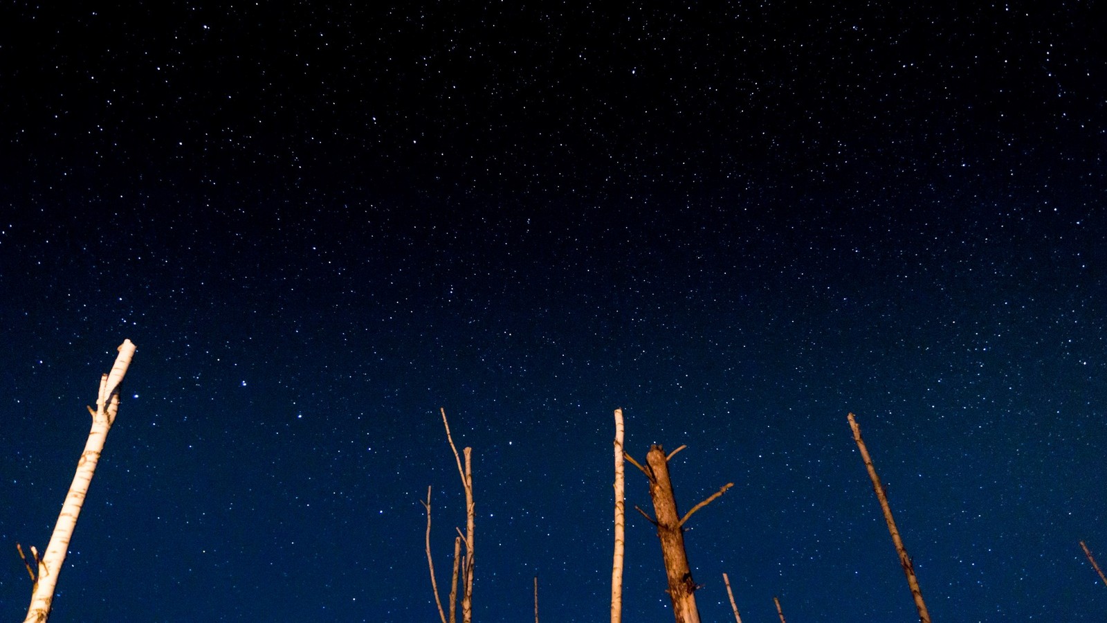 Lakes Lebedinsky and Izyary - My, Chuvashia, Zavolzhye, Summer, Night, Forest, Landscape, Starry sky, Longpost