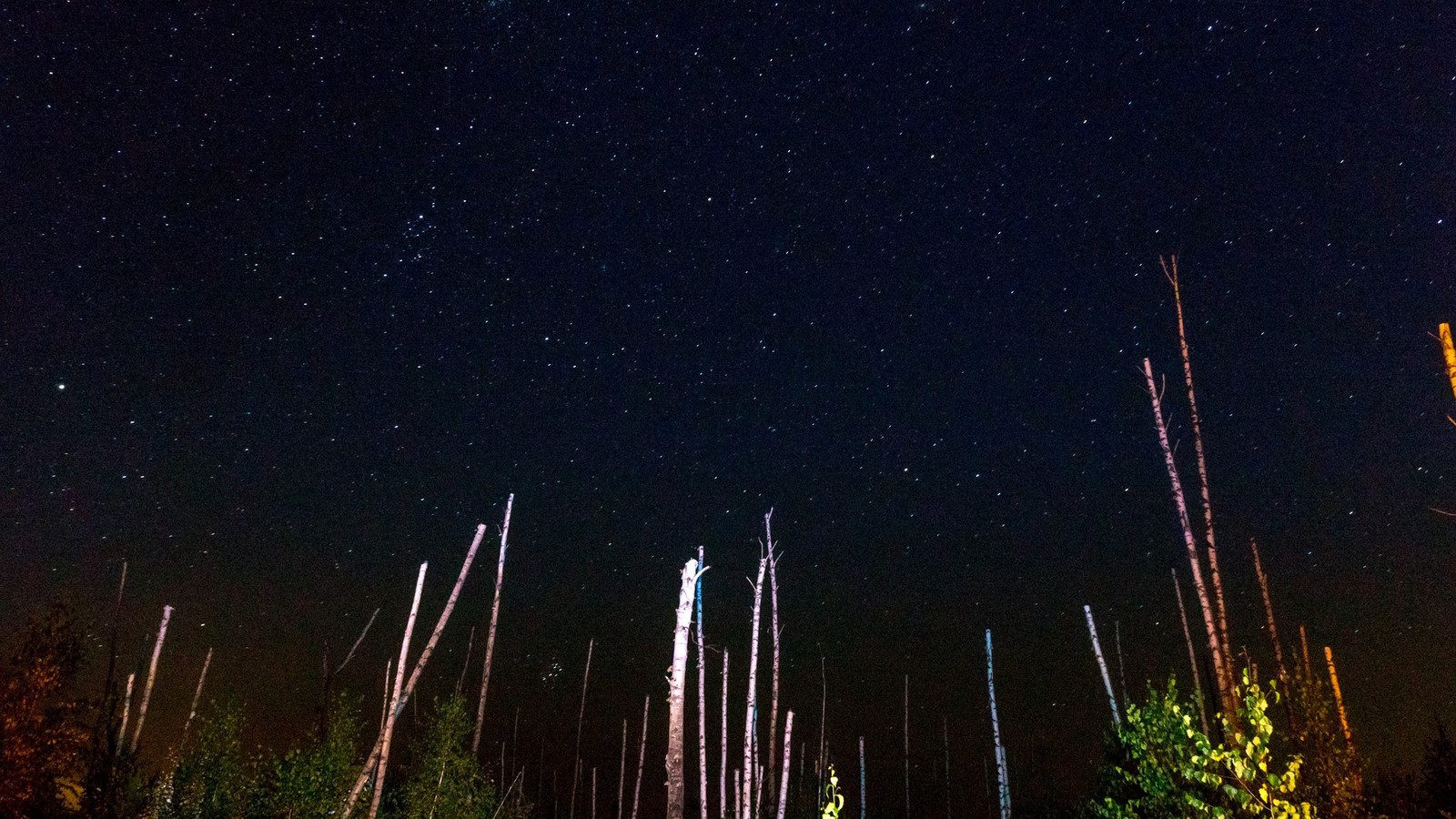 Lakes Lebedinsky and Izyary - My, Chuvashia, Zavolzhye, Summer, Night, Forest, Landscape, Starry sky, Longpost