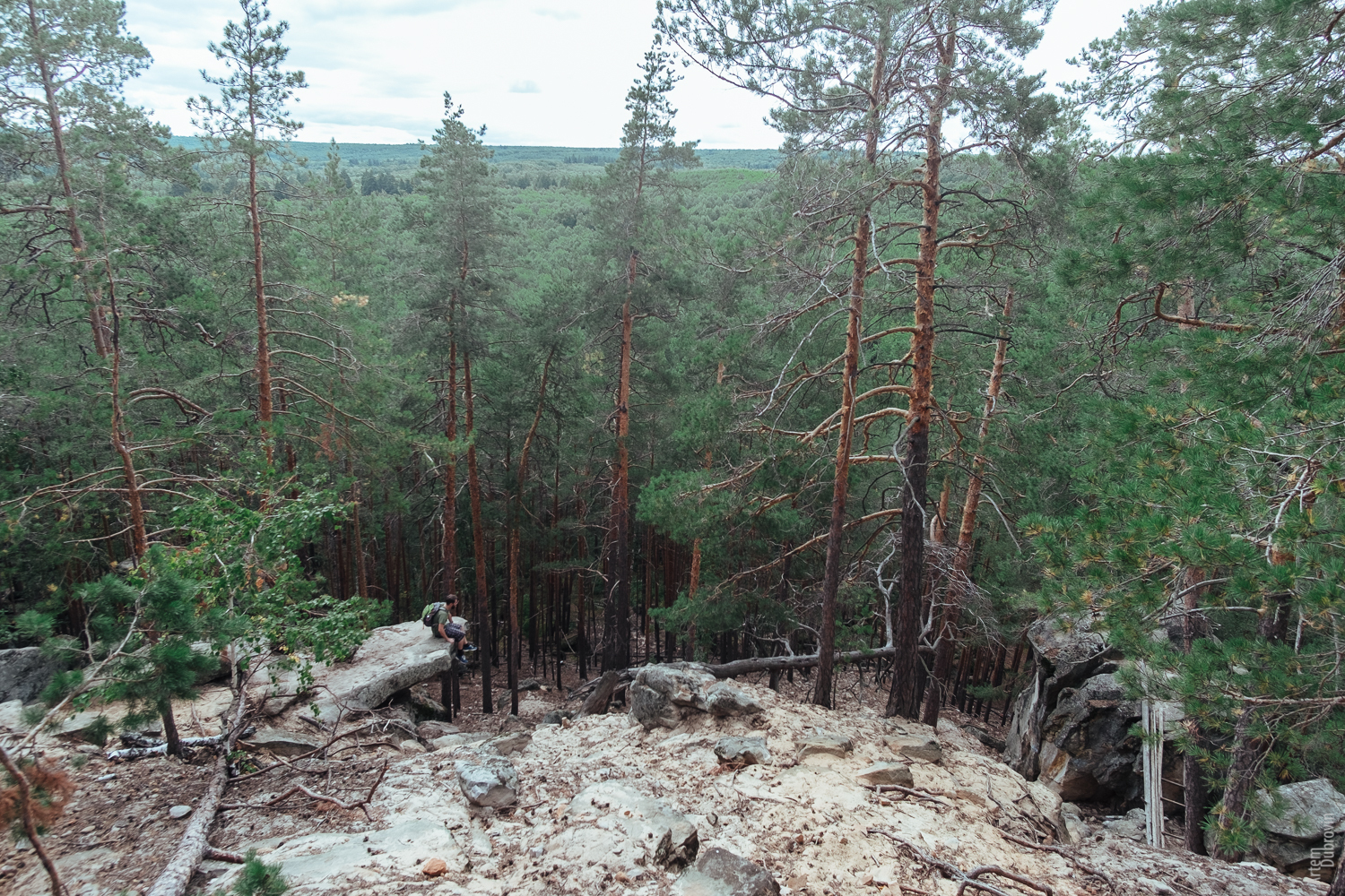 Rachey rocks. - My, Samara, Tracking, Travel across Russia, Forest, The rocks, The photo, Landscape, Longpost