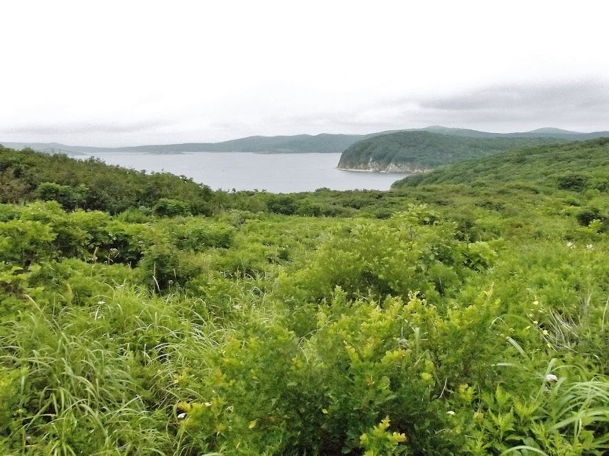 Vladivostok, Shkota Island - My, Vladivostok, Primorsky Krai, Shkota Island, Sea, The photo, Дальний Восток, Landscape, , Longpost