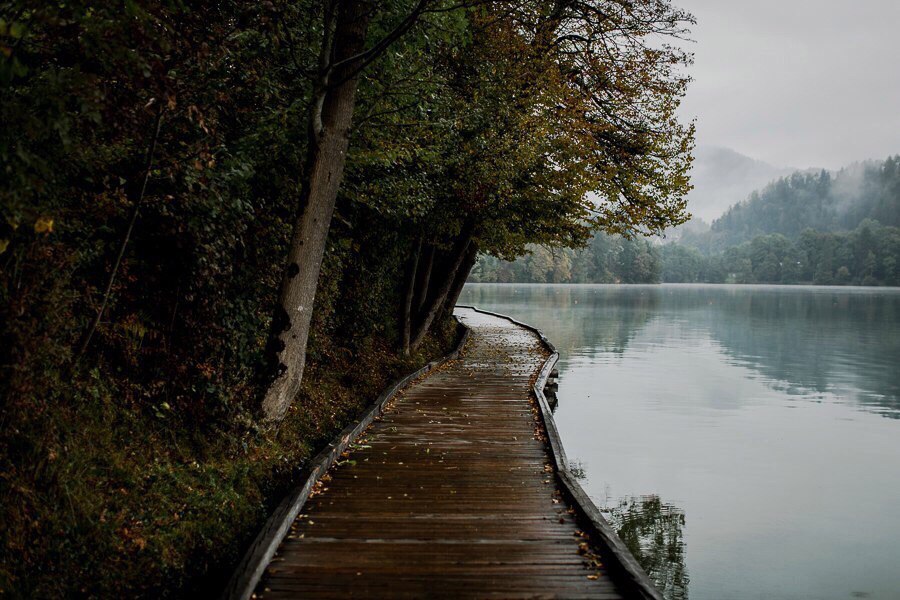 Embankment made of wood - Nature, Water, Embankment