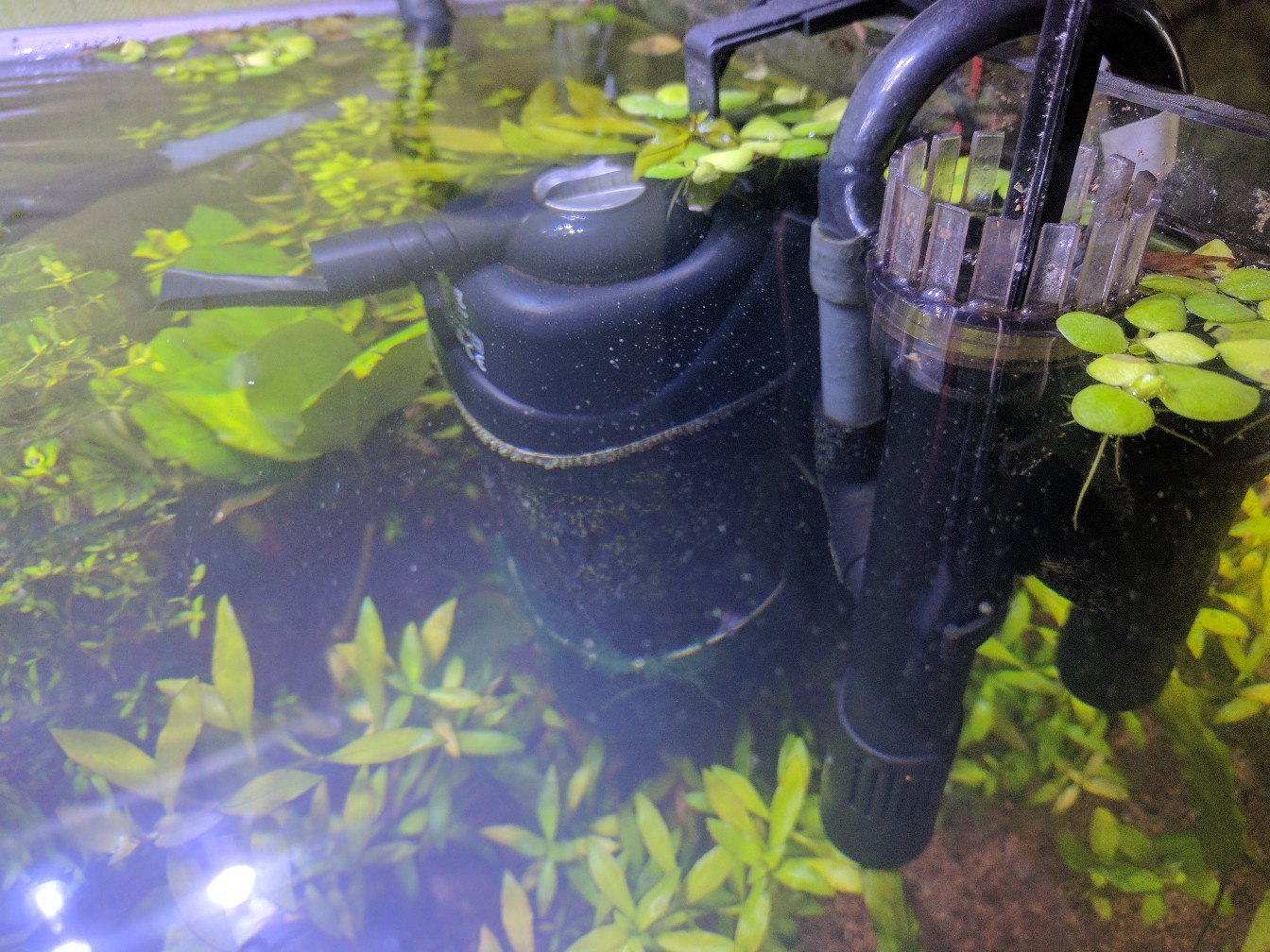 Nature aquarium is just part 3 (CO2 supply unit, other equipment) - My, Aquarium, Natural Aquarium, Aquascape, Longpost