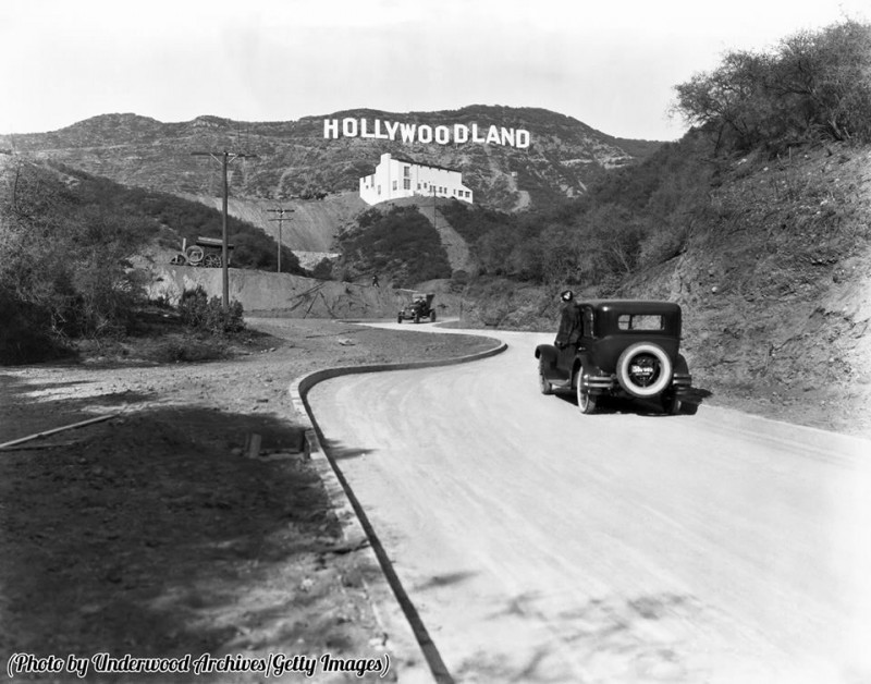 Holy forest lands - Interesting, Hollywood, Story