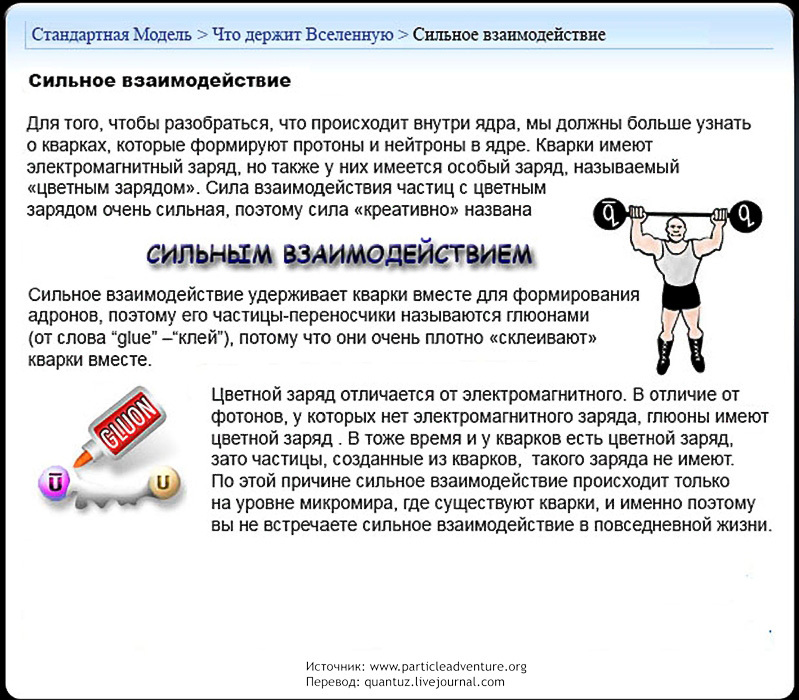 Standard Model. - My, Physics, Nauchpop, Models, Longpost