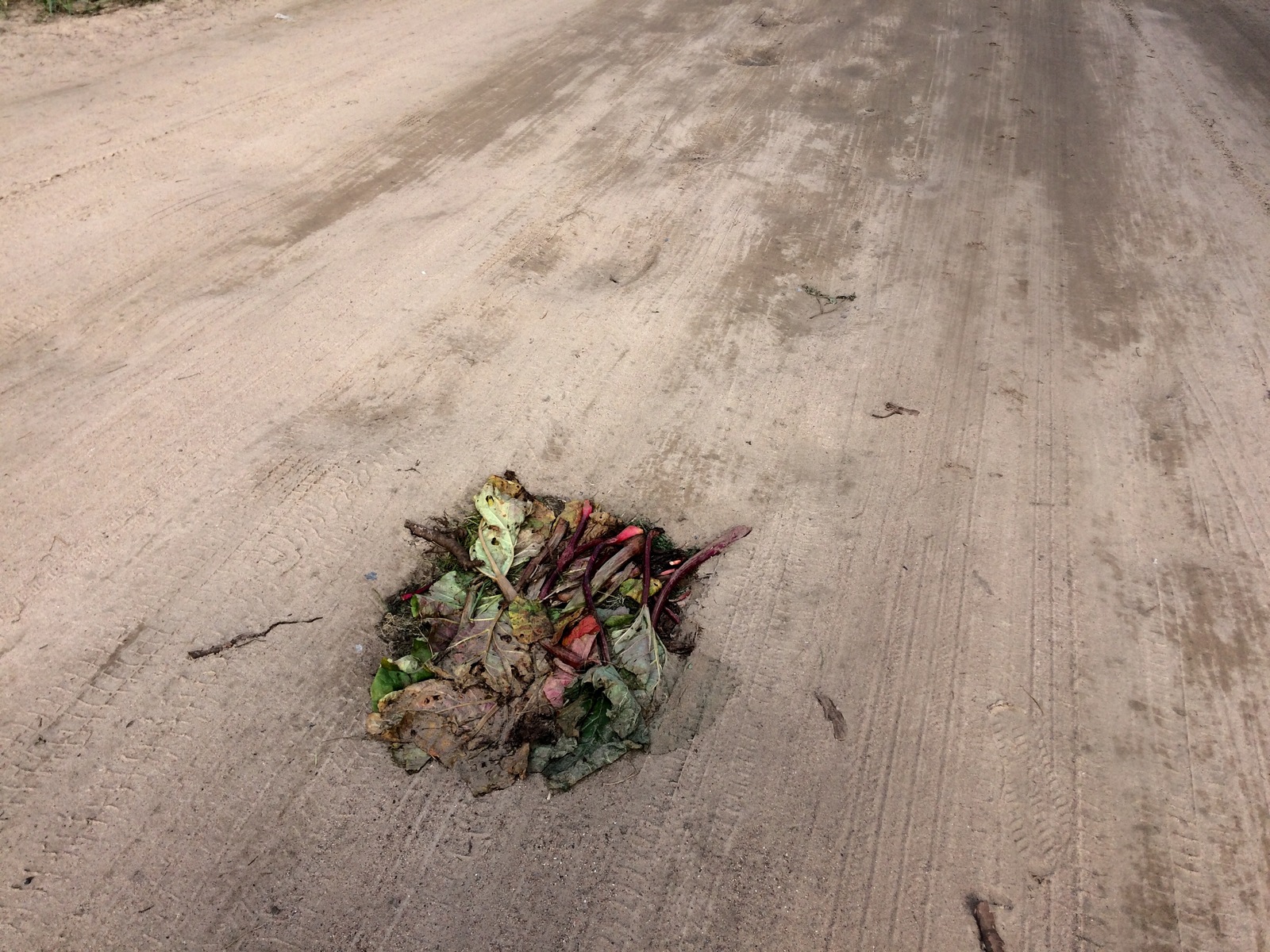 Under St. Petersburg, a new technology for repairing broken roads was discovered. - My, Road, Saint Petersburg