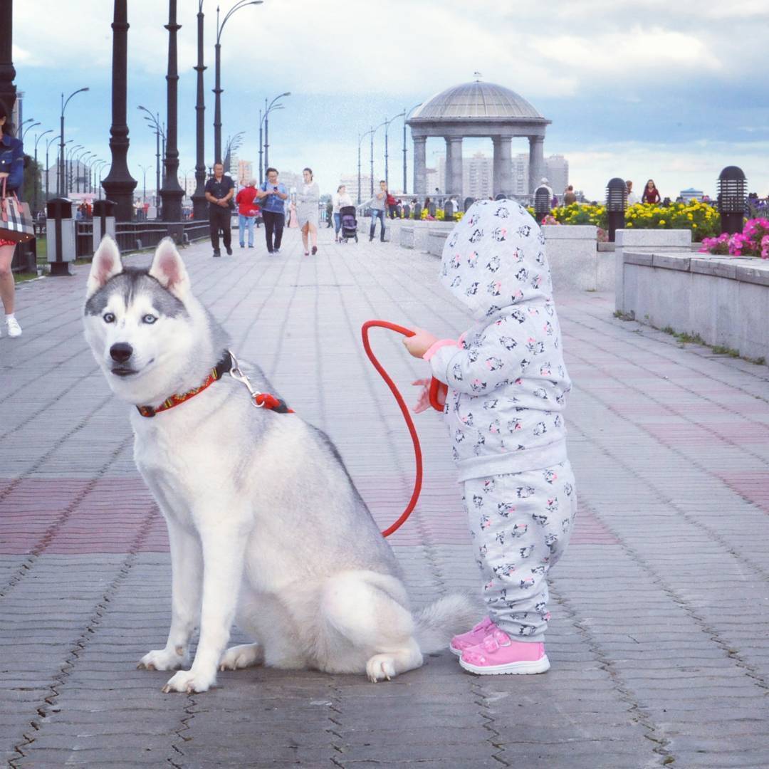 Не бойся - я её держу. - Собака, Дети, Фотография, Длиннопост