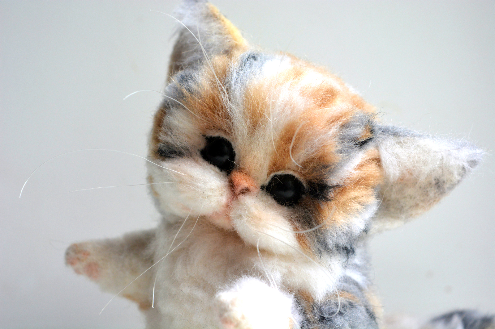 Wool kitten - My, cat, Wool, Felt, Wallow, Needlework without process, Longpost