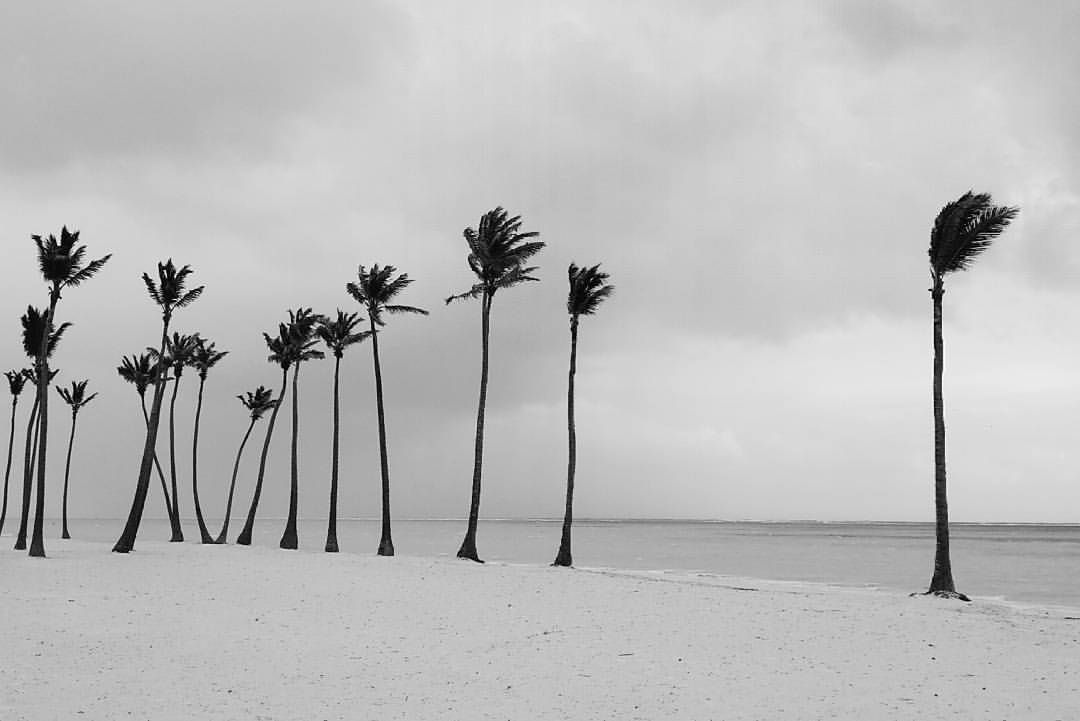 Beach Melancholia - My, Dominican Republic, Beach, Summer, Melancholy