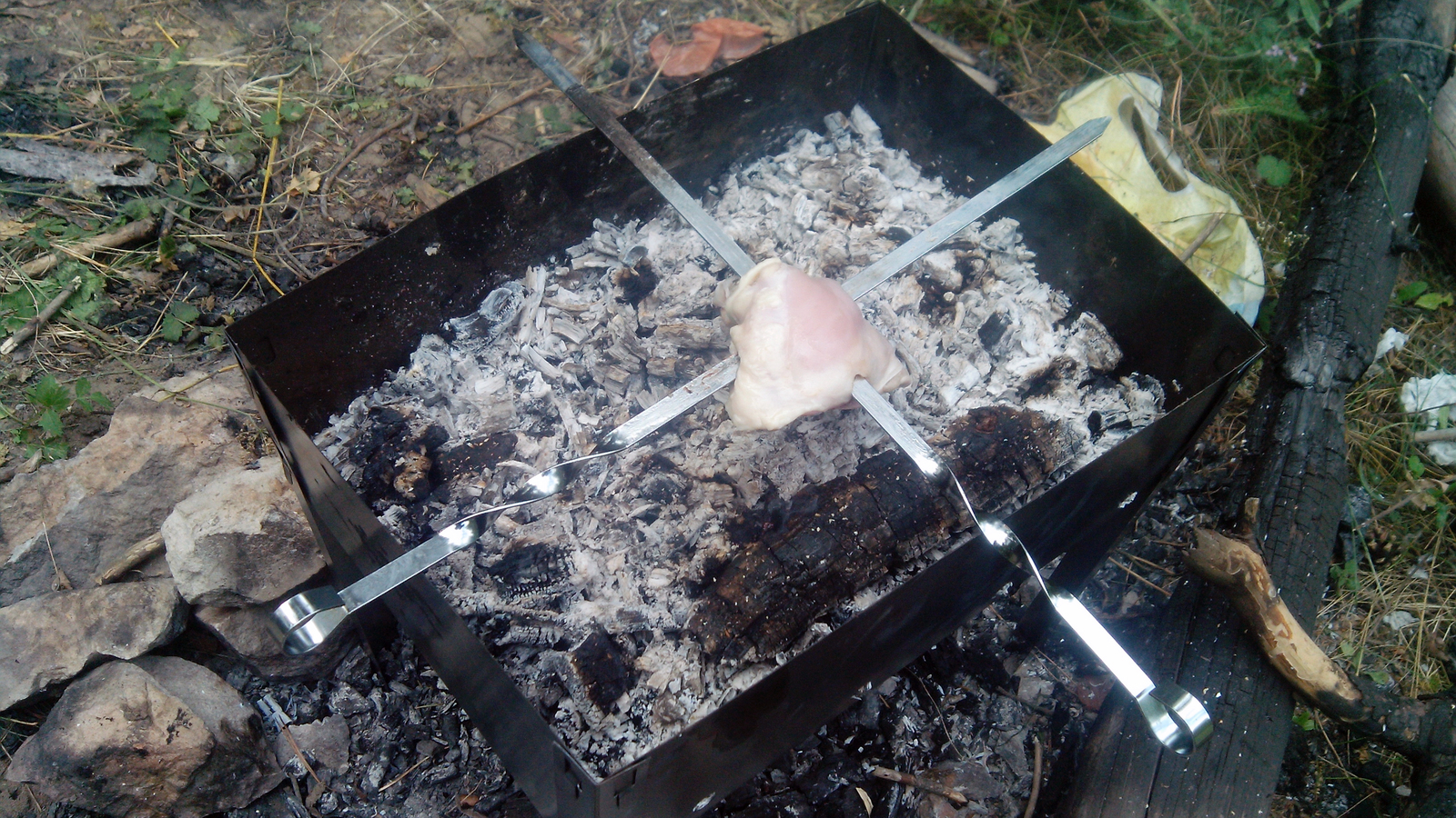 About how the barbecue did not turn over - My, Shashlik, Savvy, First post, Lumberjack Beetle, Жуки, Longpost