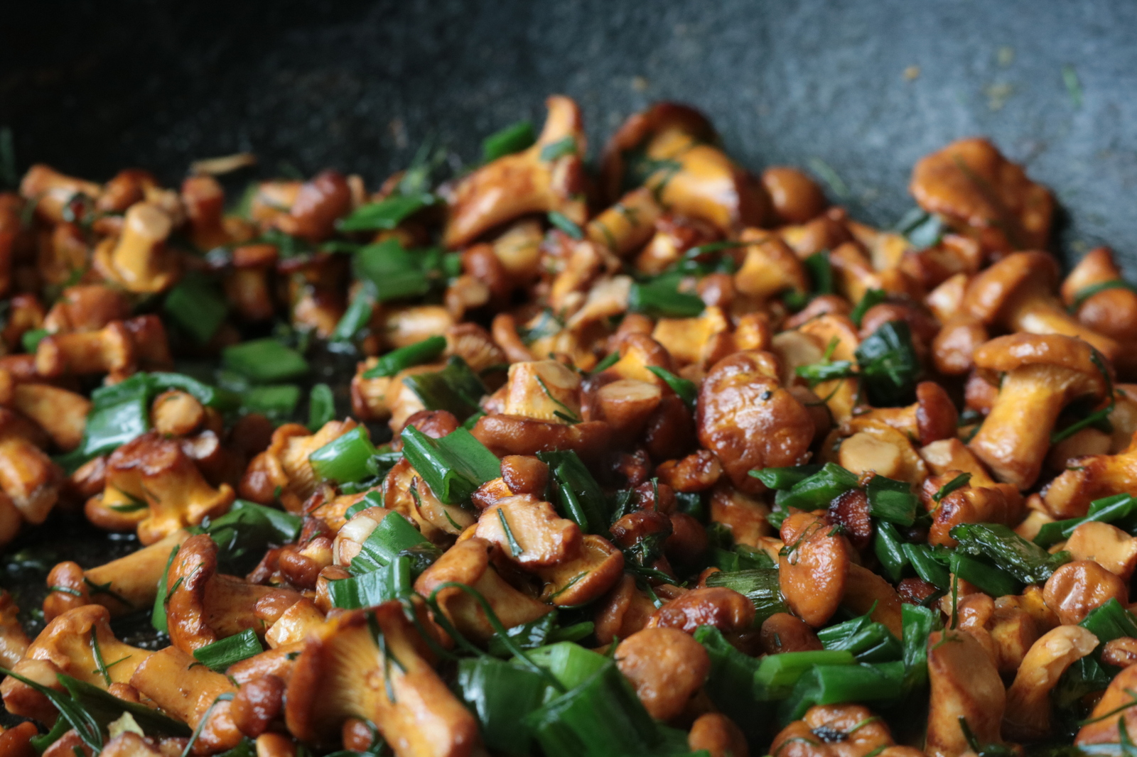 Foxes - My, Chanterelles, , Food, The photo