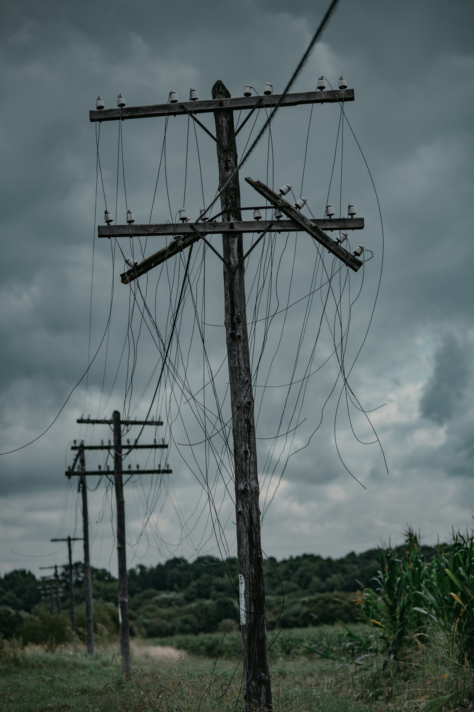 Grayness - My, Hopelessness, The photo, Children of the corn, Longpost