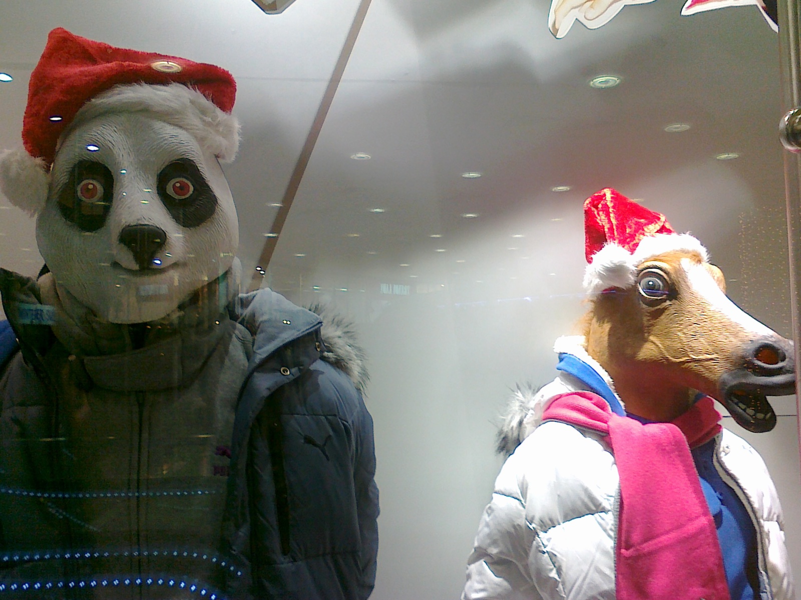 Showcase in a mall. - My, Panda, Horses, Addiction, Advertising