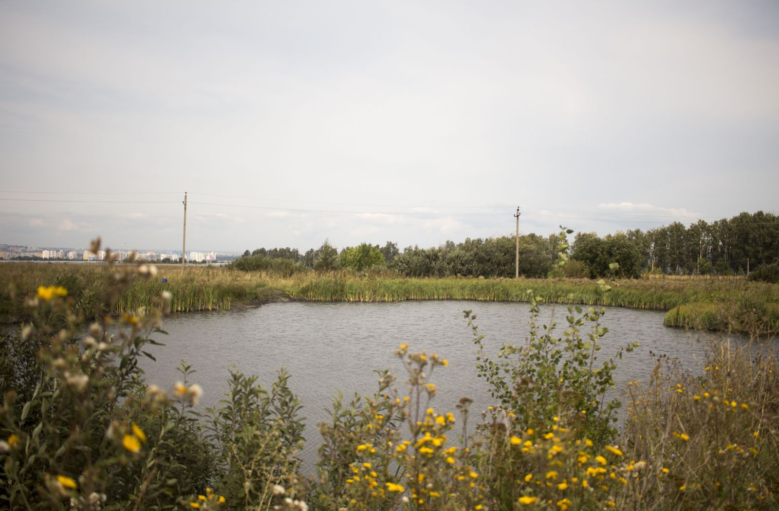 Nature close to the city - My, Penza, Lake, Nature, Town, Nature photo, The photo