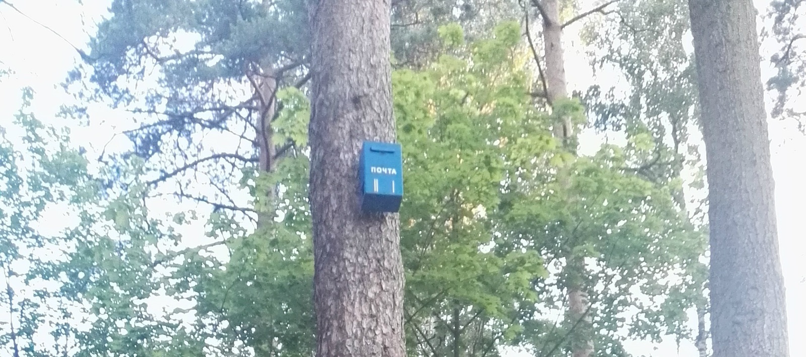 почему не приходит письмо на почту от playstation почему не приходит письмо на почту от playstation