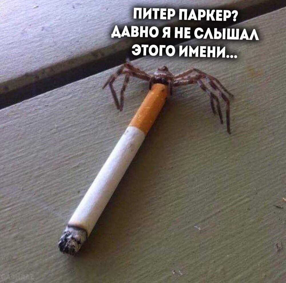 When you gave someone super powers and everyone forgot about you - In contact with, Marvel, Spiderman, Spider, Cigarettes