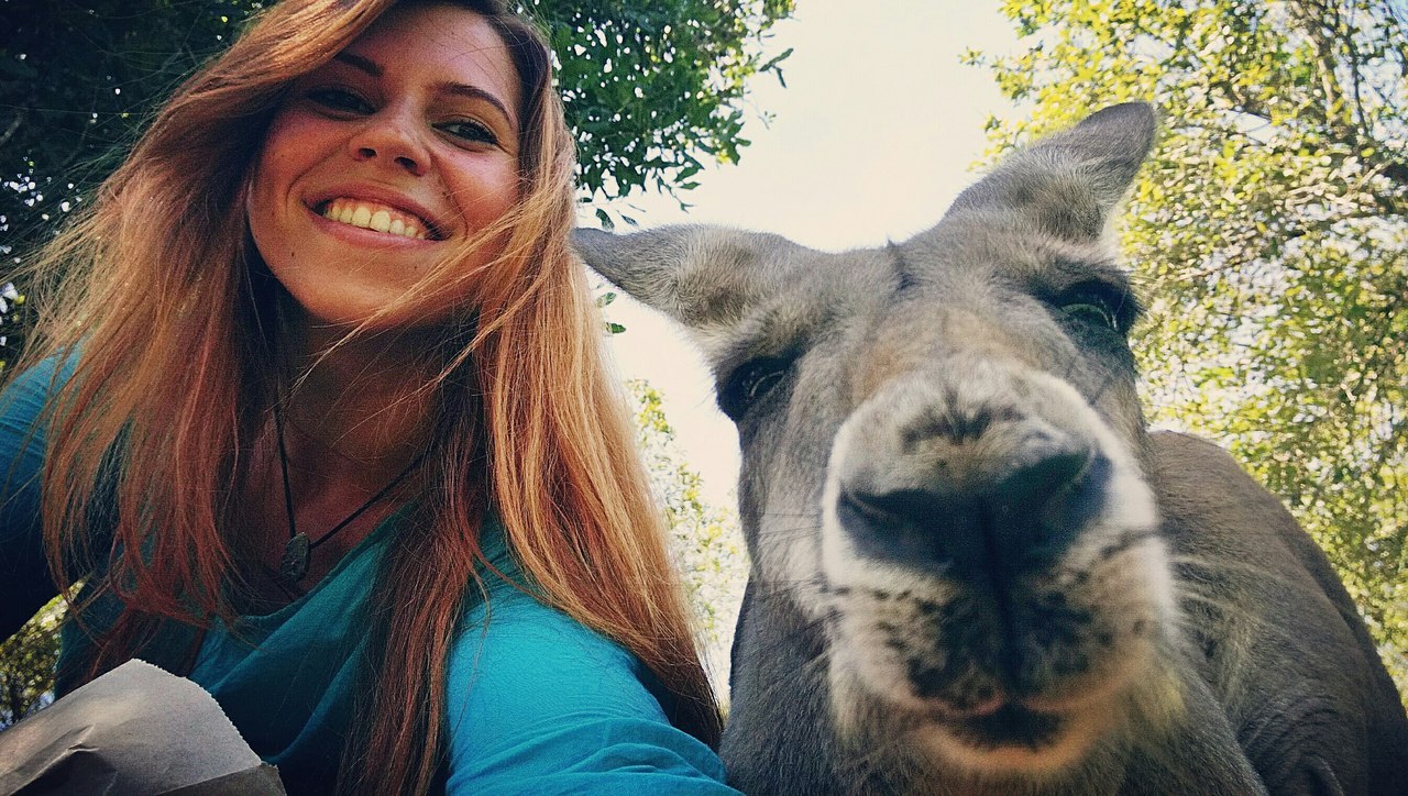 I have a cool selfie too :P - My, Australia, Kangaroo, Selfie