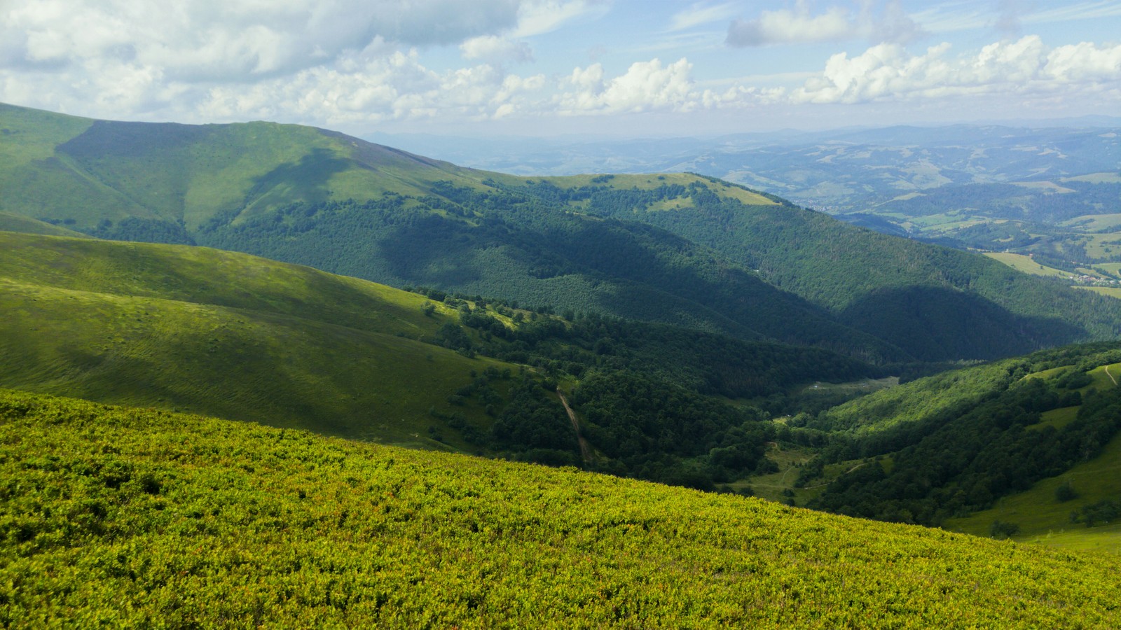 Mobile photography. - My, The photo, Carpathians, The mountains, Tree, Clouds