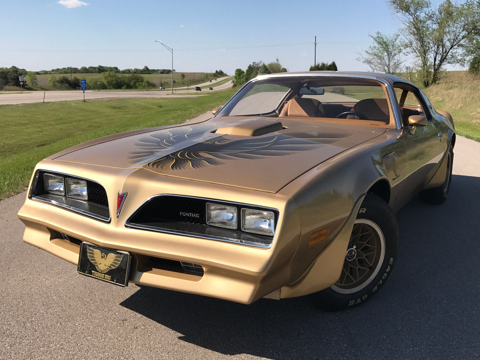 1978 Pontiac Firebird Trans Am | Пикабу