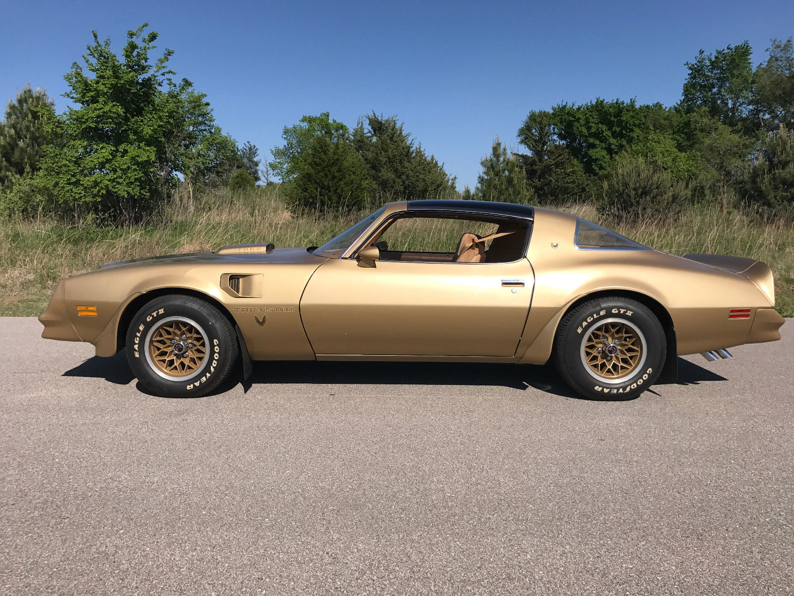 1978 Pontiac Firebird Trans Am | Пикабу