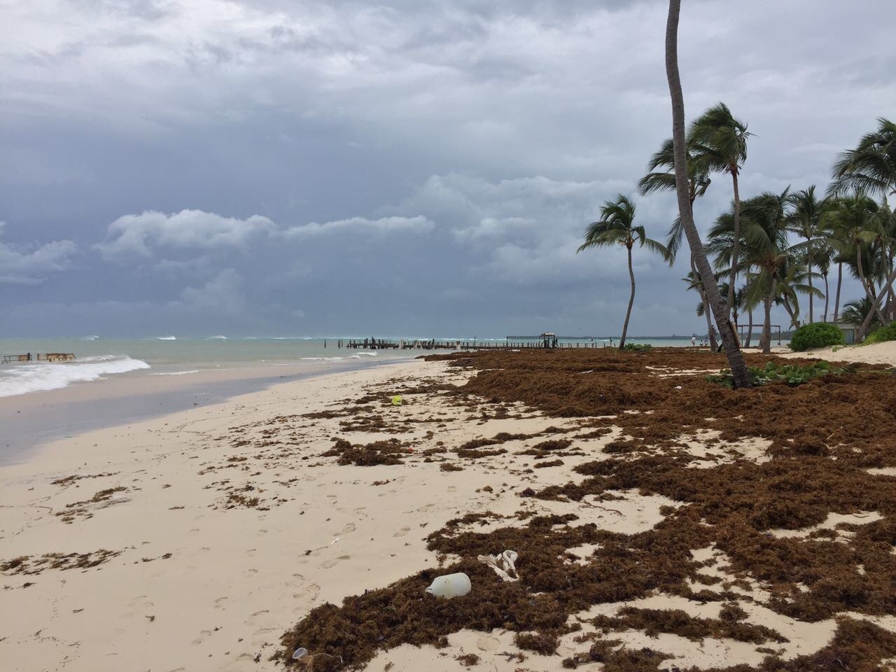 Irma did not hurt the Dominican Republic - Dominican Republic, Hurricane, Element, Longpost, Hurricane Irma