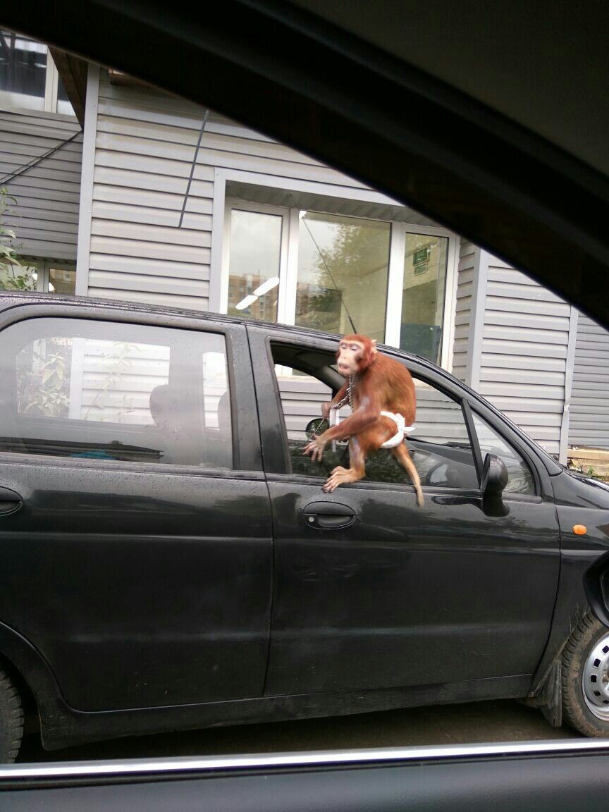 A friend took a picture today in Moscow, says that this is a taxi driver from Uber - My, Uber, Typical day, Longpost