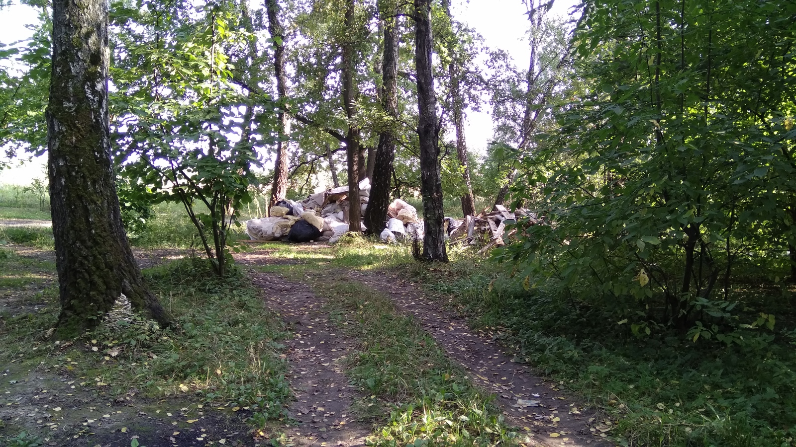 Разруха в головах - Моё, Свалка, Вывоз мусора, Свинство, Длиннопост