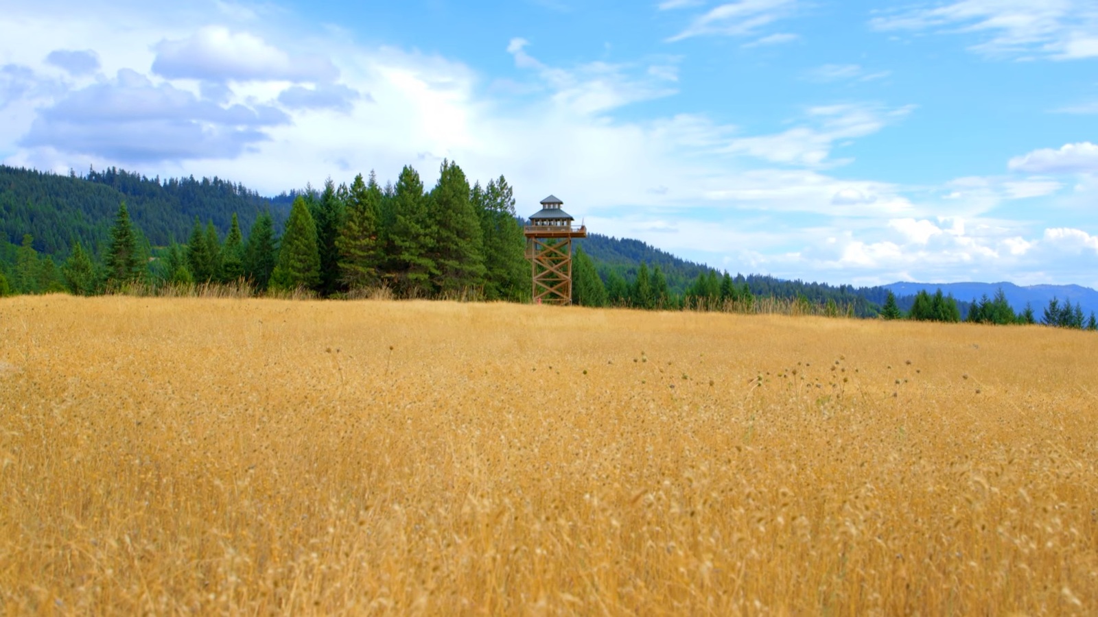 Firewatch in real life - Fire tower, Nature, beauty, Firewatch, Video, Longpost