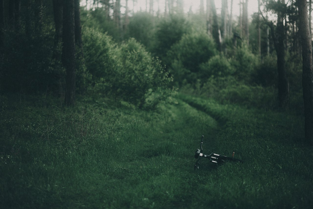 Stop Landscape - My, A bike, Landscape, Cycling season, Summer, Sunset, From dusk to dawn, dawn, Morning, Longpost