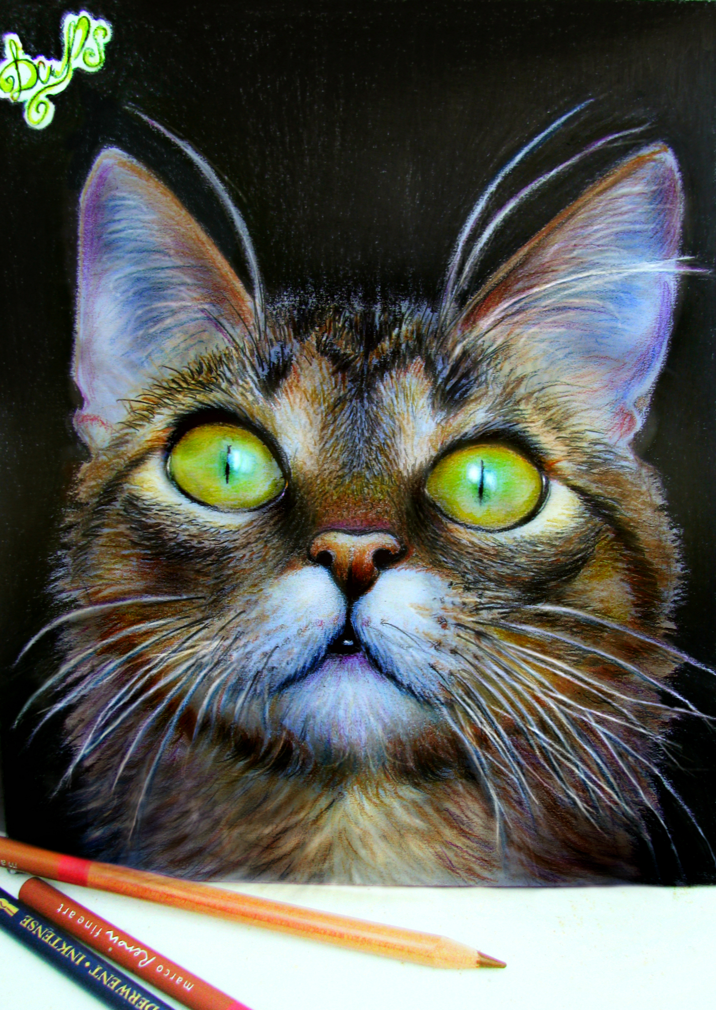 Cat Kuzma - My, Art, Green eyes, cat, Fluffy, Milota, Creation, Pencil drawing, Realism