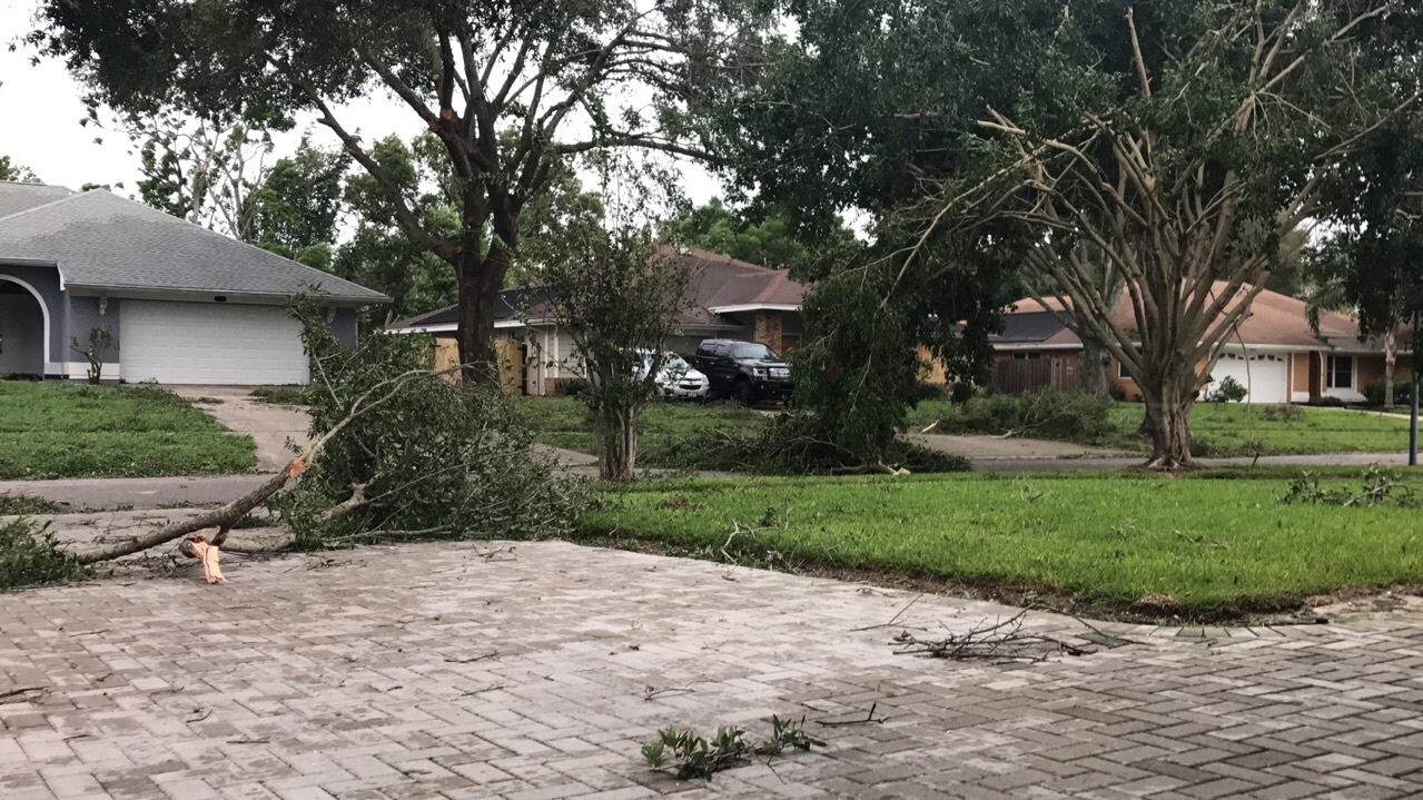 Aftermath of Irma - My, Hurricane Irma, Florida, Orlando, USA, Video, Longpost