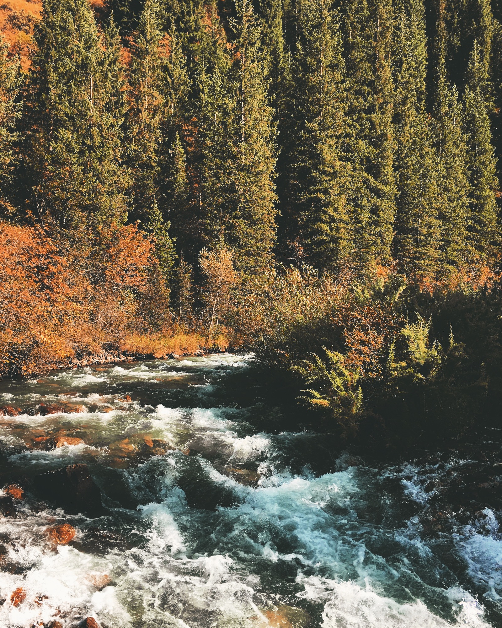 Turgen gorge, Almaty region, Kazakhstan - My, The mountains, Road, Travels, Autumn, The photo, My, Kazakhstan, Longpost