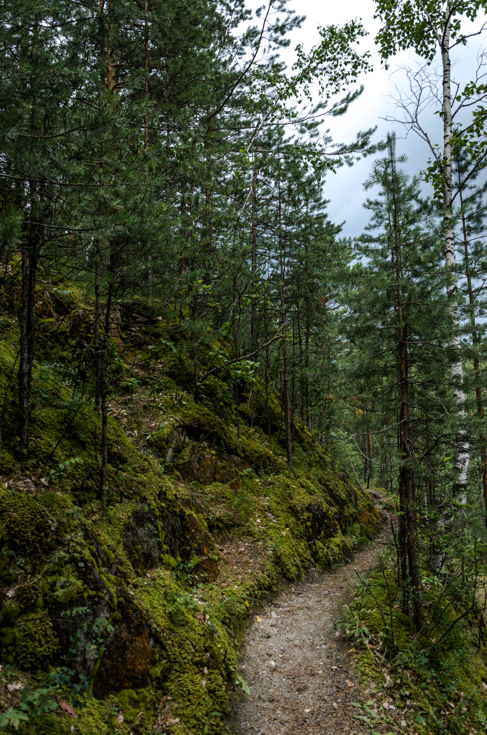 Landscapes of the Middle Urals part 2 - My, Russia, Nature, Landscape, Ural, Longpost