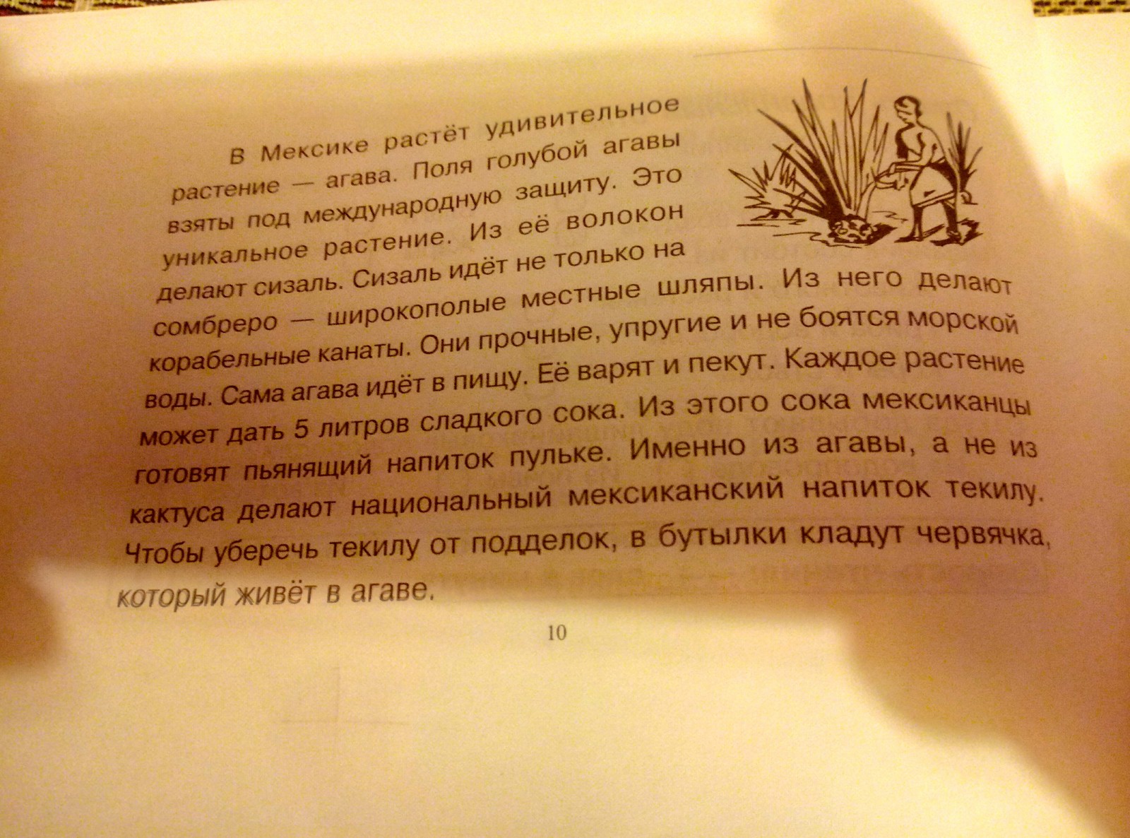 И спросила кроха ..... - Моё, Образование, Обучение, Школа жизни, Длиннопост