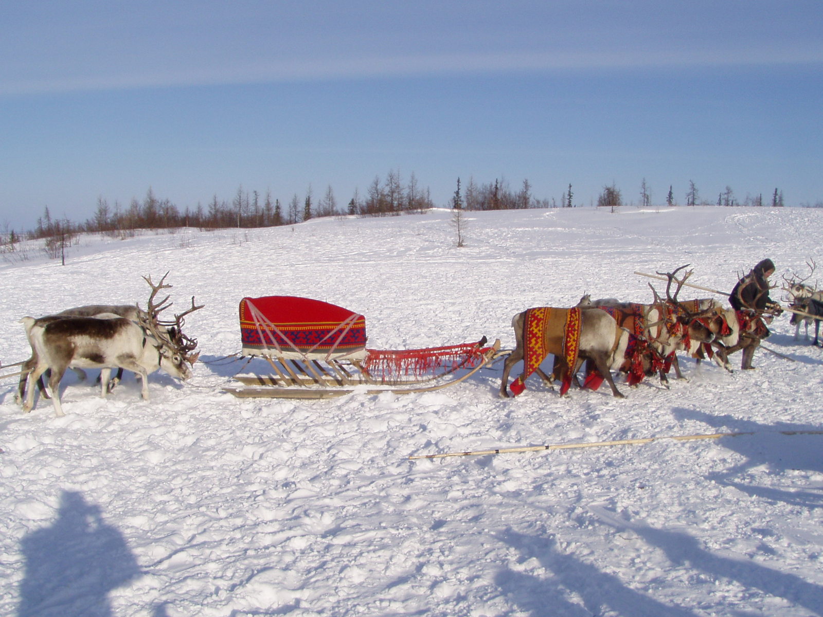 Wedding in the tundra - 4 - My, Wedding, Tundra, Yamal, Longpost