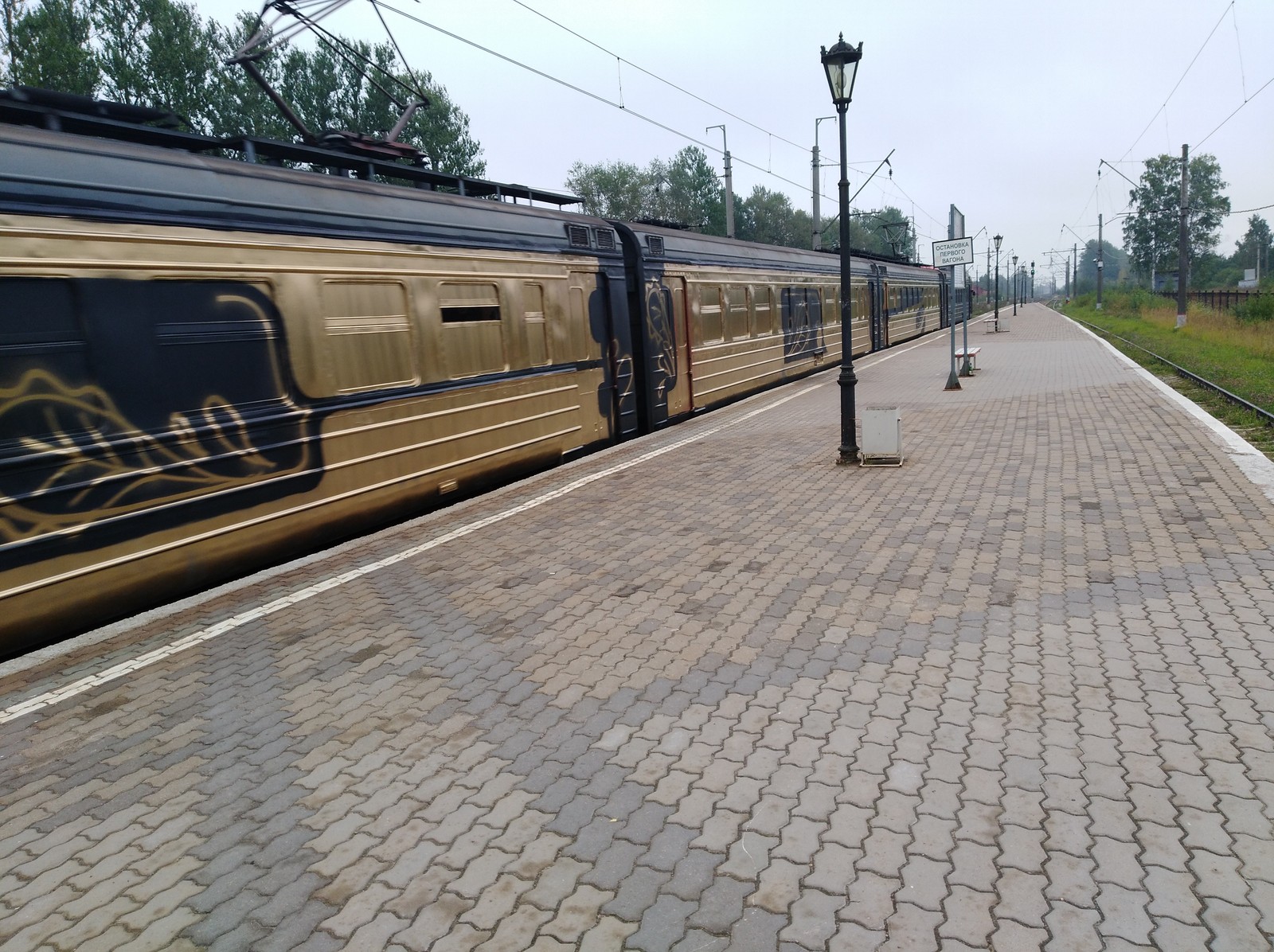 golden train - My, Train, Graffiti, Longpost