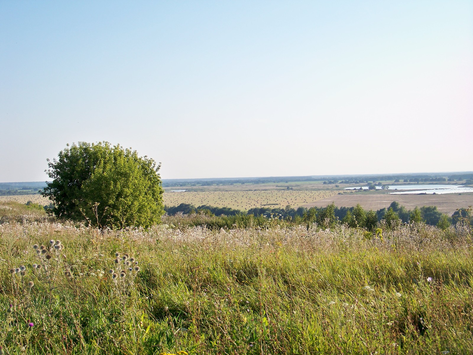 Old Ryazan - My, Gorodishche Staraya Ryazan, Russia, Landscape, Longpost, Ryazan Oblast, Nature