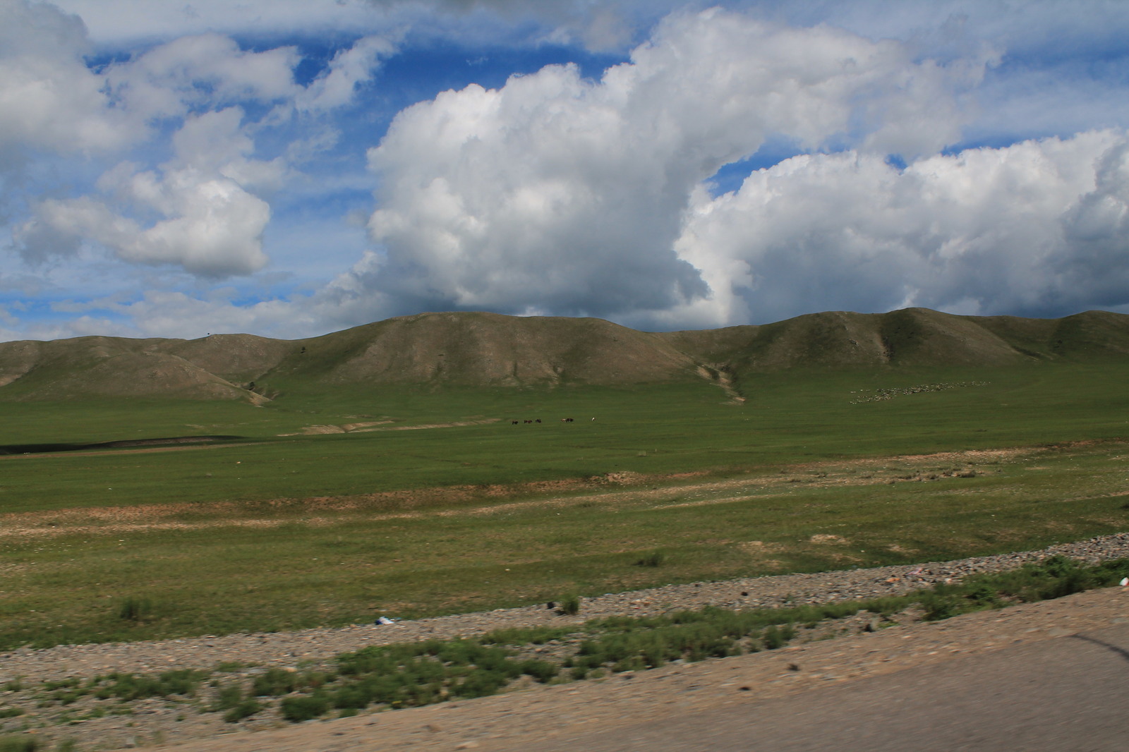 Memories of Mongolia - My, Mongolia, Vacation, Yurt, , Longpost, Steppe