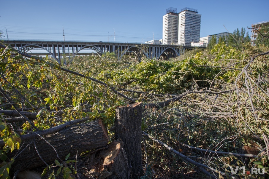 One of the reasons why I left Volgograd... - My, Volgograd, , Mamaev kurgan, Felling, , Longpost