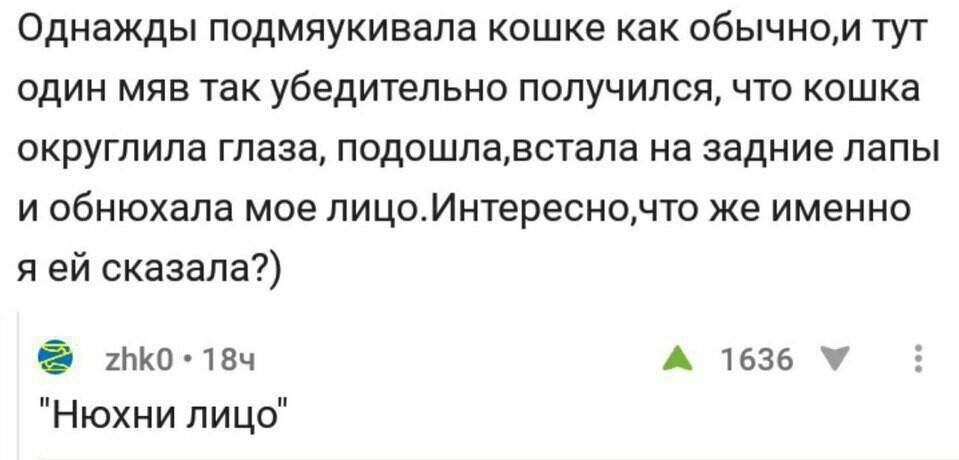 Женщина-Кошка. Начало - Не мое, Пикабу, Комментарии, Комментарии на Пикабу, Скриншот