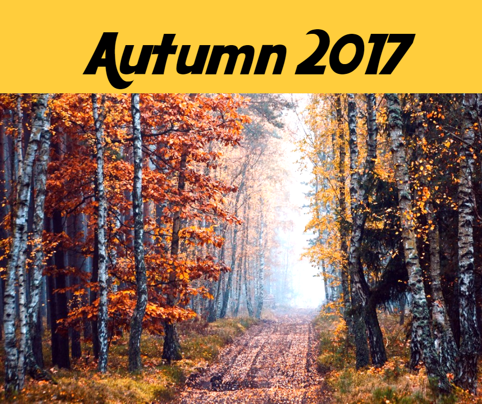 Another autumn - Autumn, Forest, Seasonal exacerbation, Autumn leaves, Beautiful view, beauty of nature